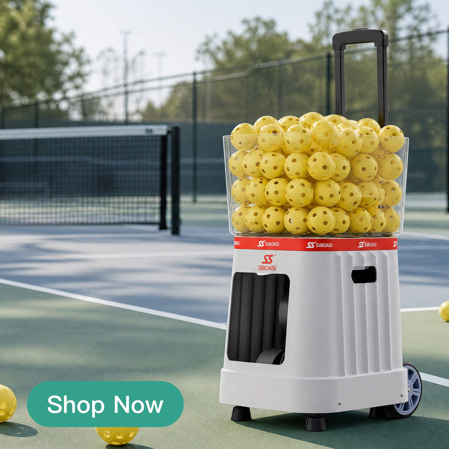 Pickball Machine